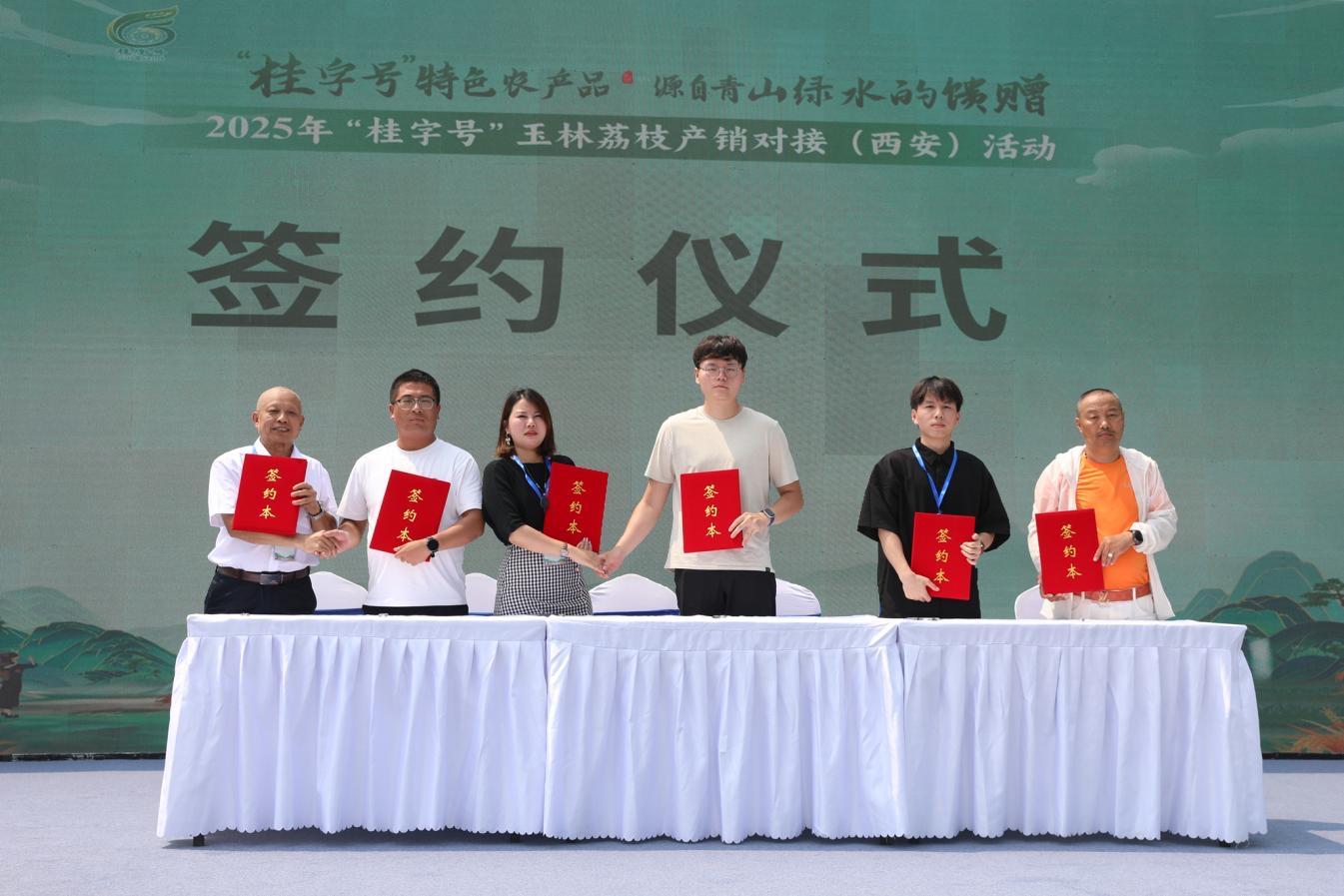 &ldquo;桂字号&rdquo;玉林荔枝产销对接活动举办