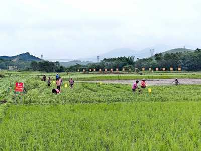 从&ldquo;贫困村&rdquo;到&ldquo;优秀试点村&rdquo;